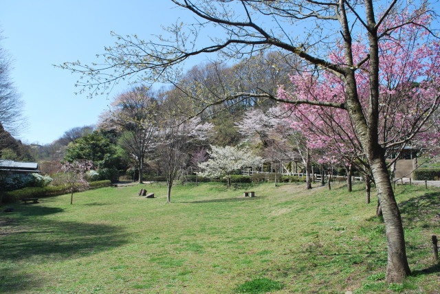 鎌倉中央公園